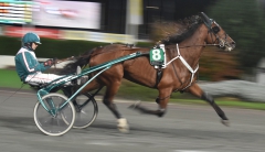 Ugly Duckling 171018-2